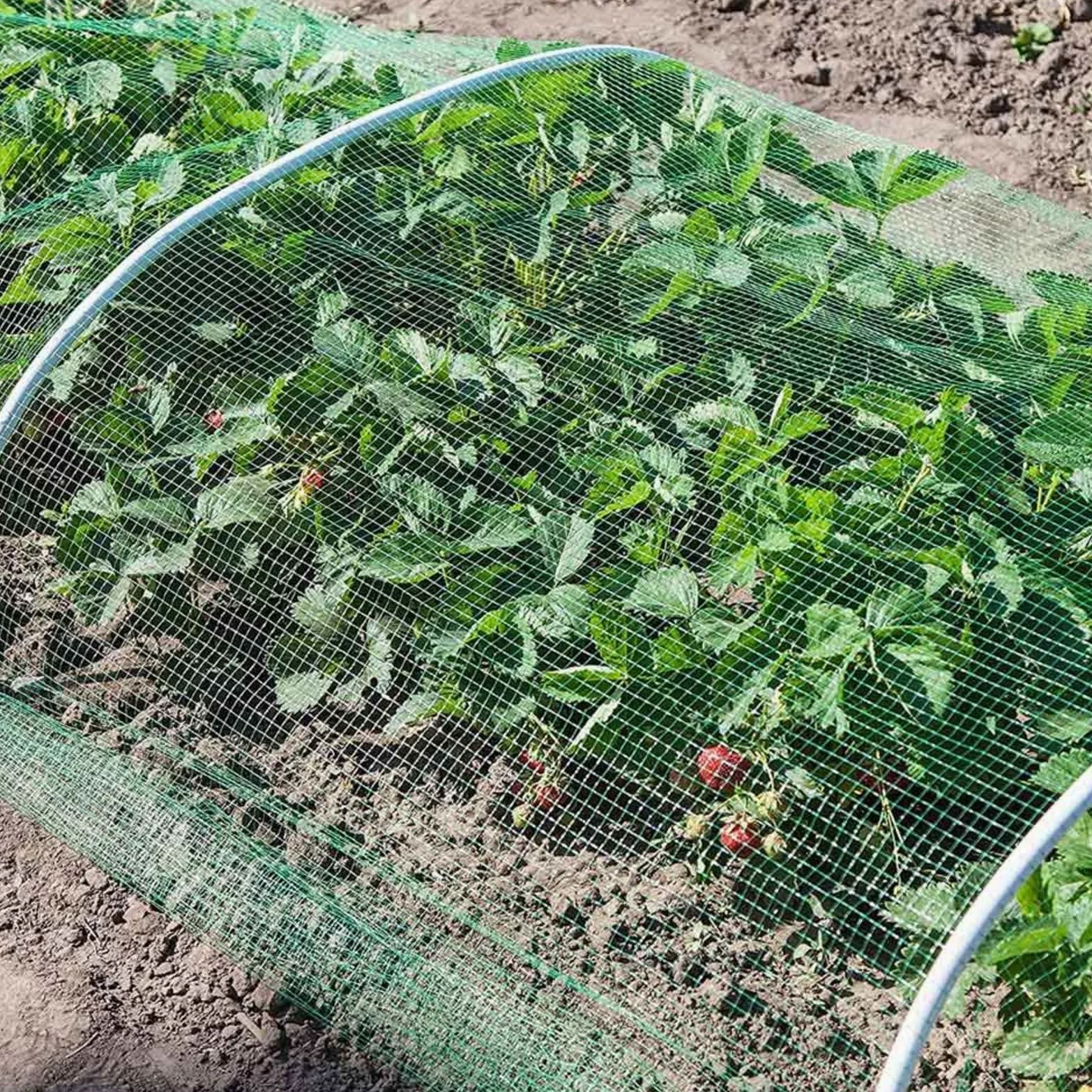 Balcón Red de protección para gatos, sin taladro, malla apretada, 1,5 x 1,5 cm, ideal para jardines, piscinas y gallineros, red de seguridad de cerezo de 3 x 10 m