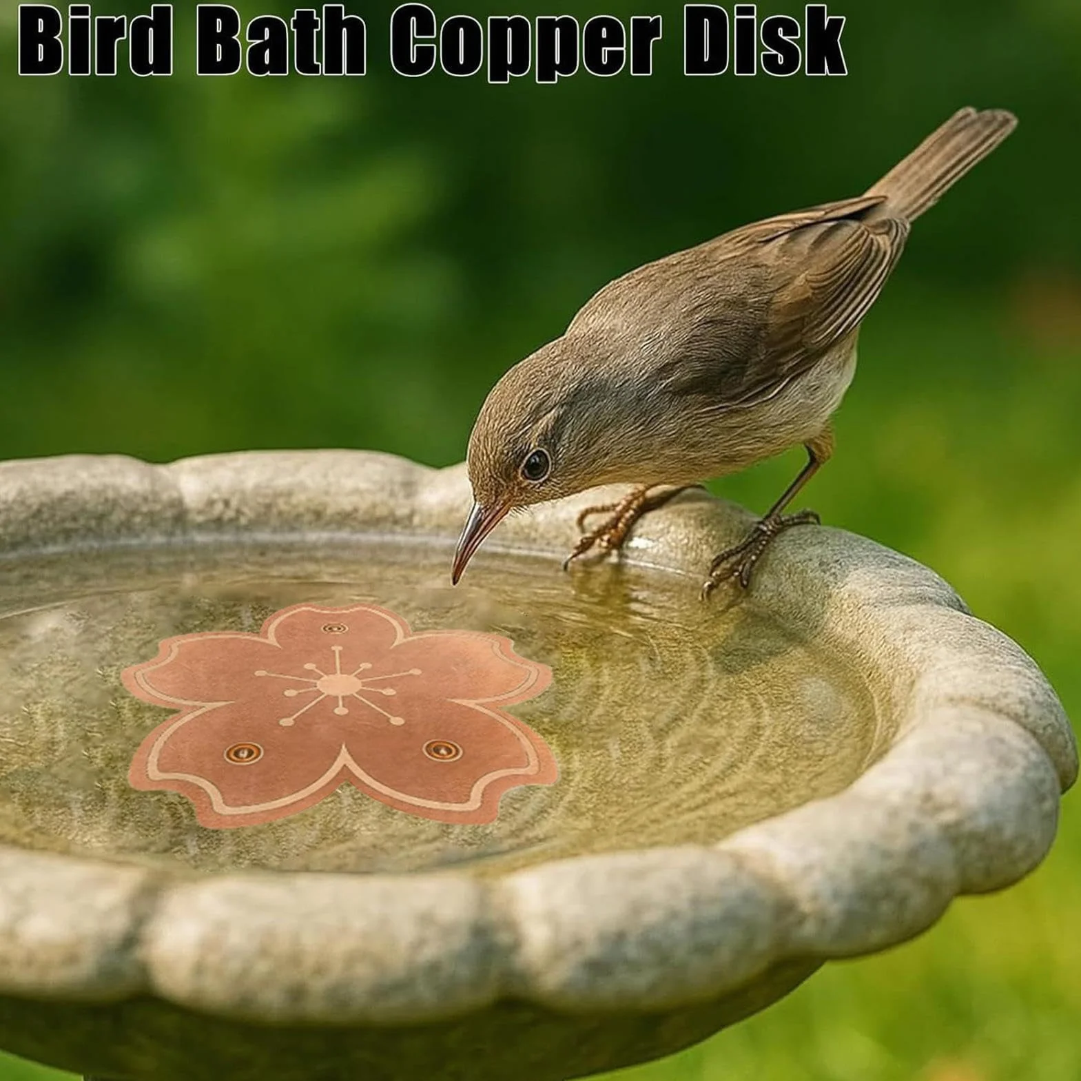 Disco Limpiador en Cobre para Bebedero de pájaros Plato Purificador Estable | Disco limpiador en cobre con soporte triple para bebedero Agua Y Baño En Exteriores Jardín P