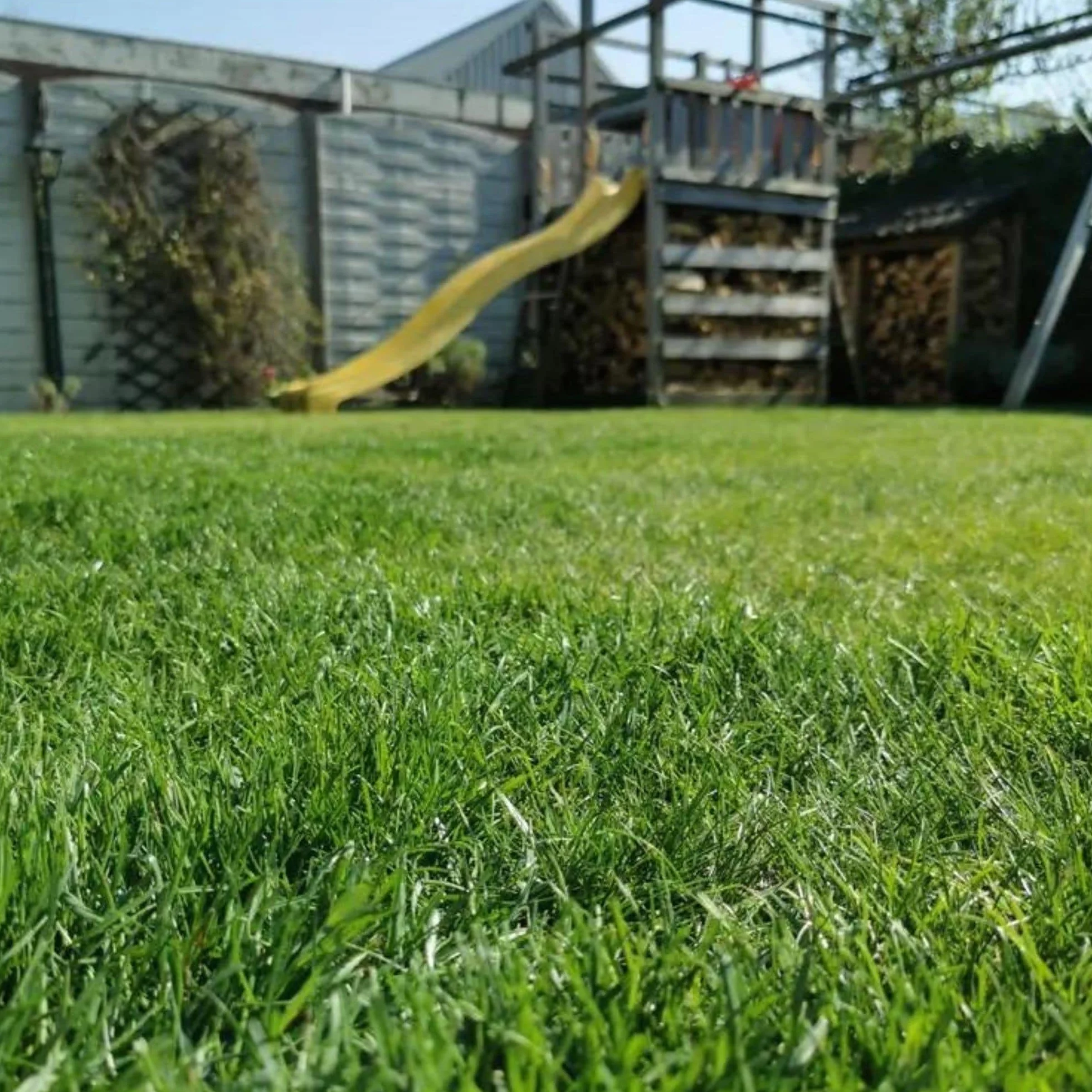 Easy Mow 100m²