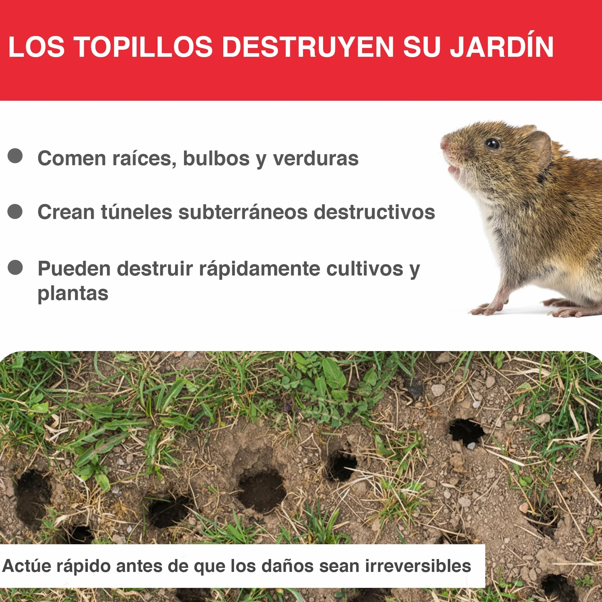 SWISSINNO Trampa para Topillos con Sonda SuperCat Incluida – Trampa Mecánica para Roedores Subterráneos, Control de Jardín, Reutilizable, Instalación en Túnel Vertical – 2 Trampa + 1 Sonda