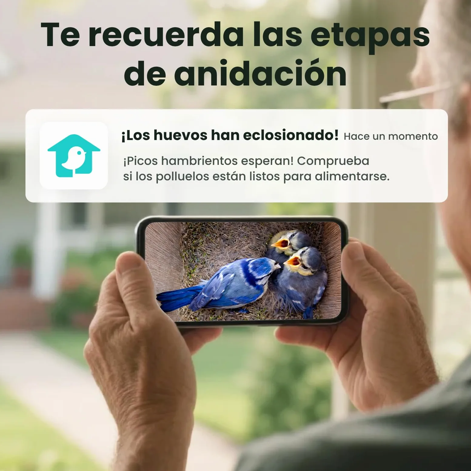 Birdfy Pajarera con cámara, nido con cámara, cámara de 2 millones de píxeles, para exteriores, observación en tiempo real de la construcción de nidos y cría de aves, detección de comportamiento de