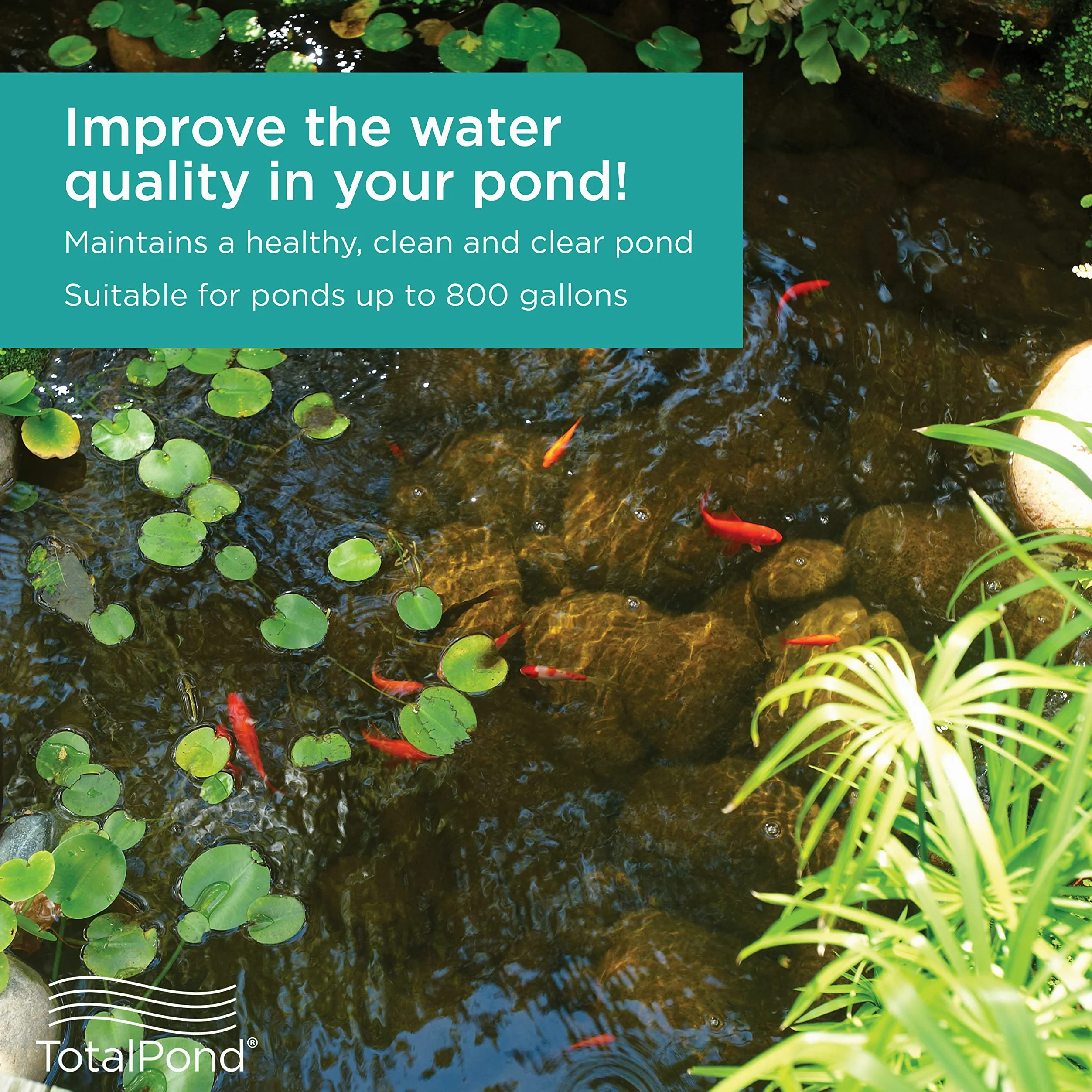 TotalPond Filtro biológico presurizado PF1200UV con clarificador UV