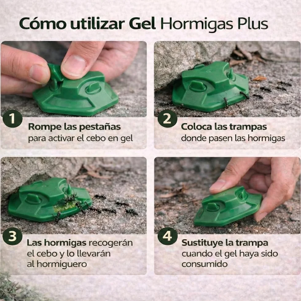 Remi Hogar Defens Gel Hormigas | Pack 4 Trampas Insecticida Hormigas | Cebo Insecticida Listo para Usar | Elimina Hormigas y el Hormiguero | Uso Interior y Exterior | Alta eficacia | Listo para Usar