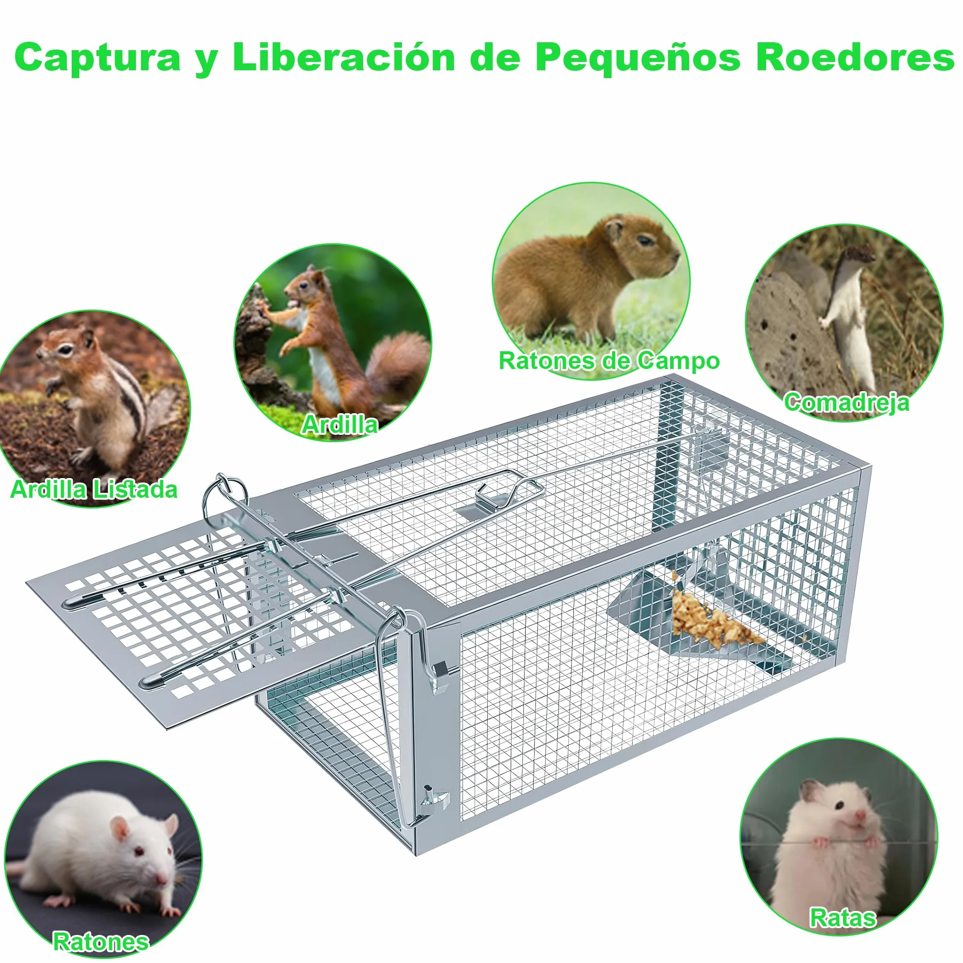 Trampa para Ratones Vivo, 2 PCS XL Trampas Ratas para Interiores y Exteriores Sin Matar Cepos para Ratones Reutilizable, Sin Mecanismo de Liberación Táctil para Cocina Jardín Hogar - 27 x14 x12 cm