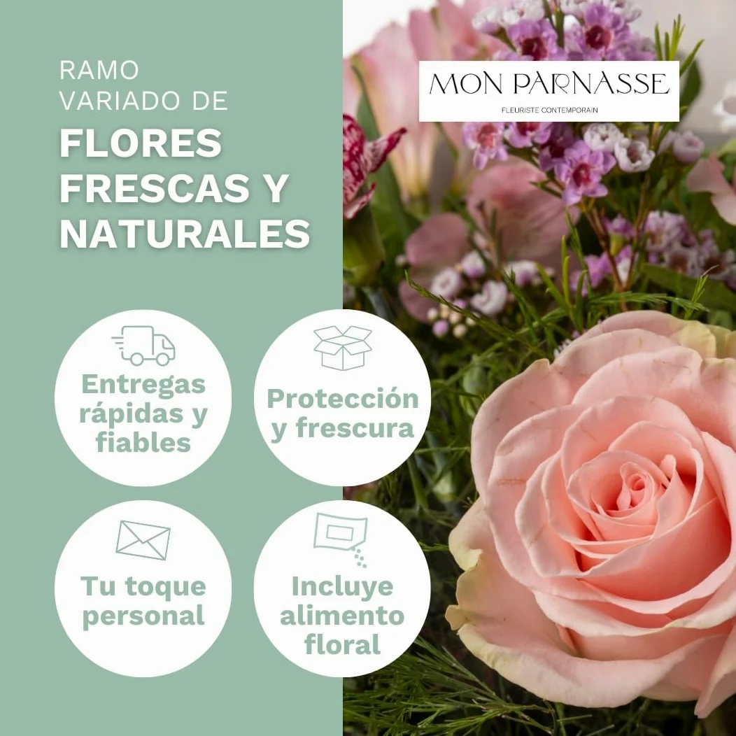 Mon Parnasse - Ramo de Flores Naturales con Dedicatoria, Incluye Tarjeta Personalizada, Set Alimento Floral, Envoltorio Elegante, Regalo, Sutileza y Aroma - Armonia