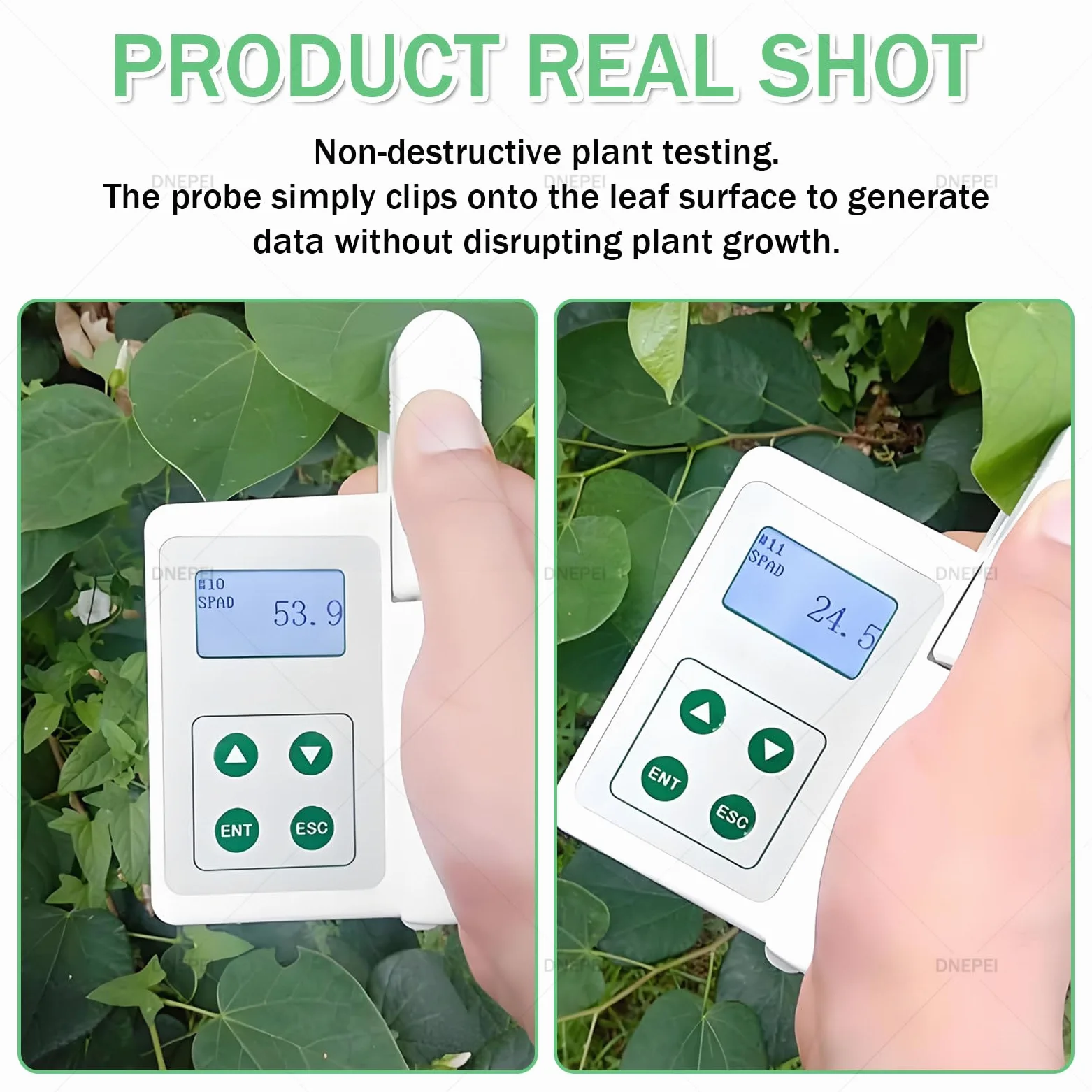 Medidor de clorofila portátil Recargable, analizador portátil de clorofila y nitrógeno, medición SPAD en Tiempo Real y Monitor de Temperatura foliar para Agricultores y jardineros. A