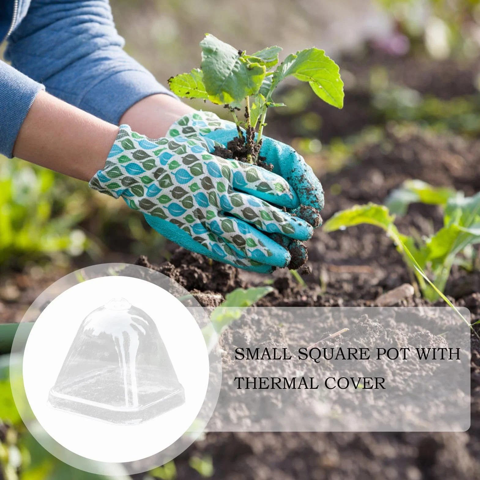 Cúpulas De Humedad para Plantas - Cubierta Protectora Transparente para Plantas - Tapa de Aislamiento Térmico 10X para Macetas de Vivero con Control de Humedad e Impermeable