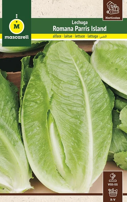 Mascarell Semillas, LECHUGA, Semillas Huerto, LECHUGA ROMANA PARRIS ISLAND, Crea tu Propio Huerto Urbano y Cultivo en Casa, Plantas Hortícolas, 6 Gramos