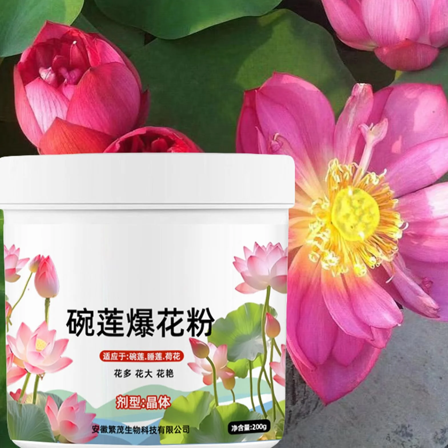 Fertilizante de plantas de agua - Polvo de crecimiento de loto | Fertilizante Sea de 200 g | Fertilizante de flores de flor de planta efectiva, en nutrientes