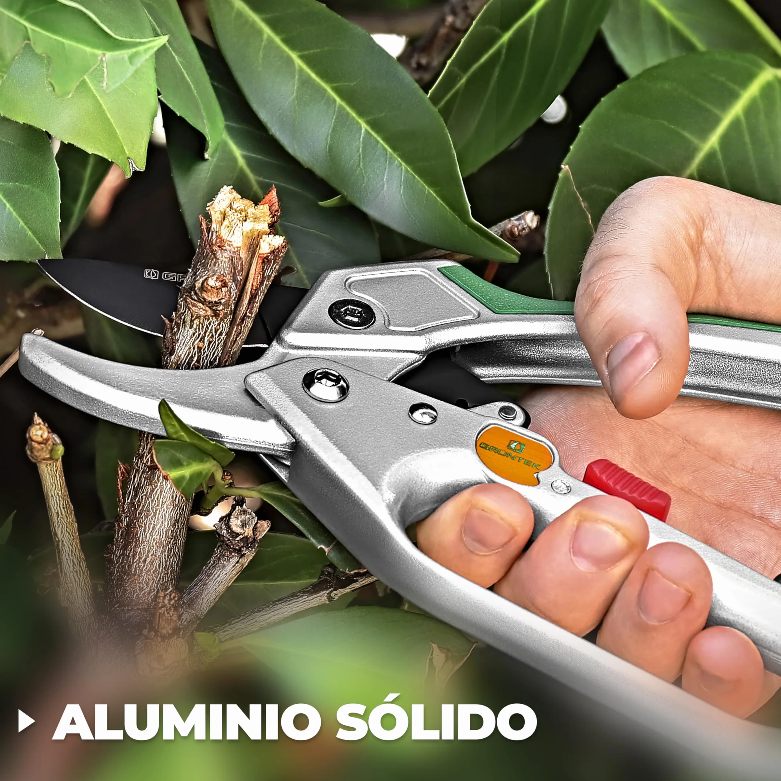 GRÜNTEK Tijeras de Podar Jardín Profesional Cóndor 20cm con Trinquete, Tijera de Yunque Recolectora, Cortarramas con Hoja de Acero Antiadherente y Mangos de Aluminio