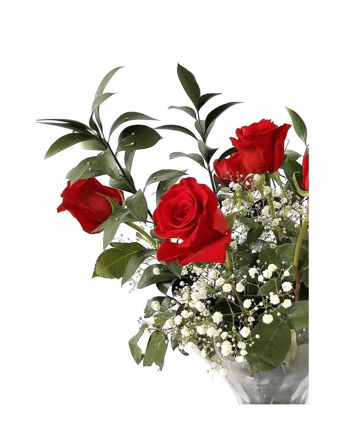 JARDIN202 - Ramo de Rosas Rojas Naturales | Flor Natural | Ramo de rosas rojas frescas | 60cm de alto | Ramo de 6 tallos (Estilo tradicional)