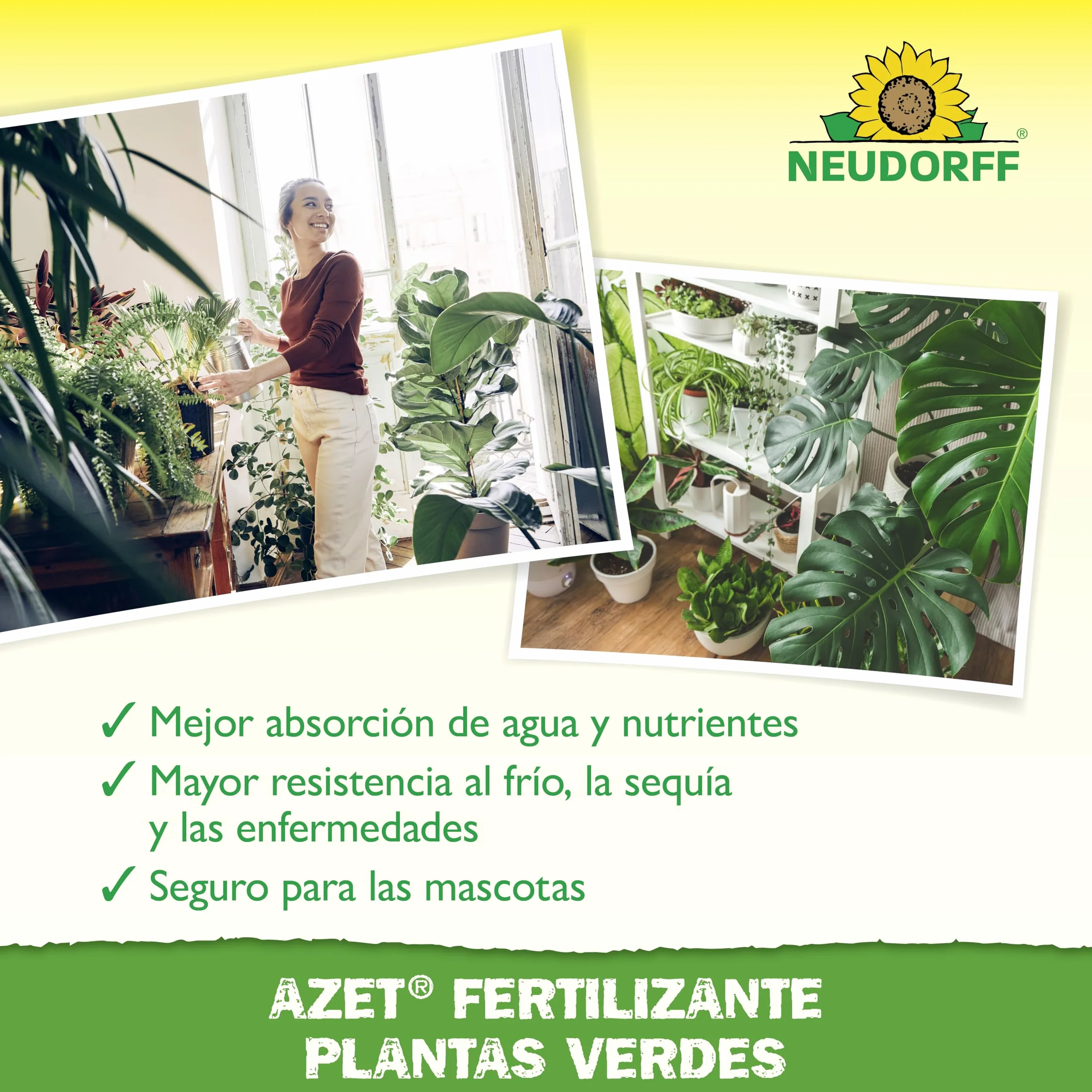 Neudorff Azet Fertilizante Plantas Verdes - Abono orgánico 100% natural para un crecimiento rápido y hojas de color verde intenso para todas las plantas verdes, 250 ml