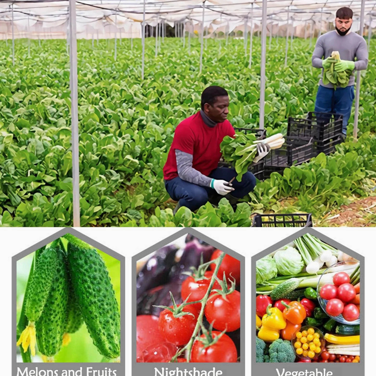 Red Anti Insectos,100-Mallas Túnel de Cultivo de Malla Fina para Protección de Plantas,Red Antipájaros para Flores, Frutas, Verduras,6x10m Red de Protección contra Insectos