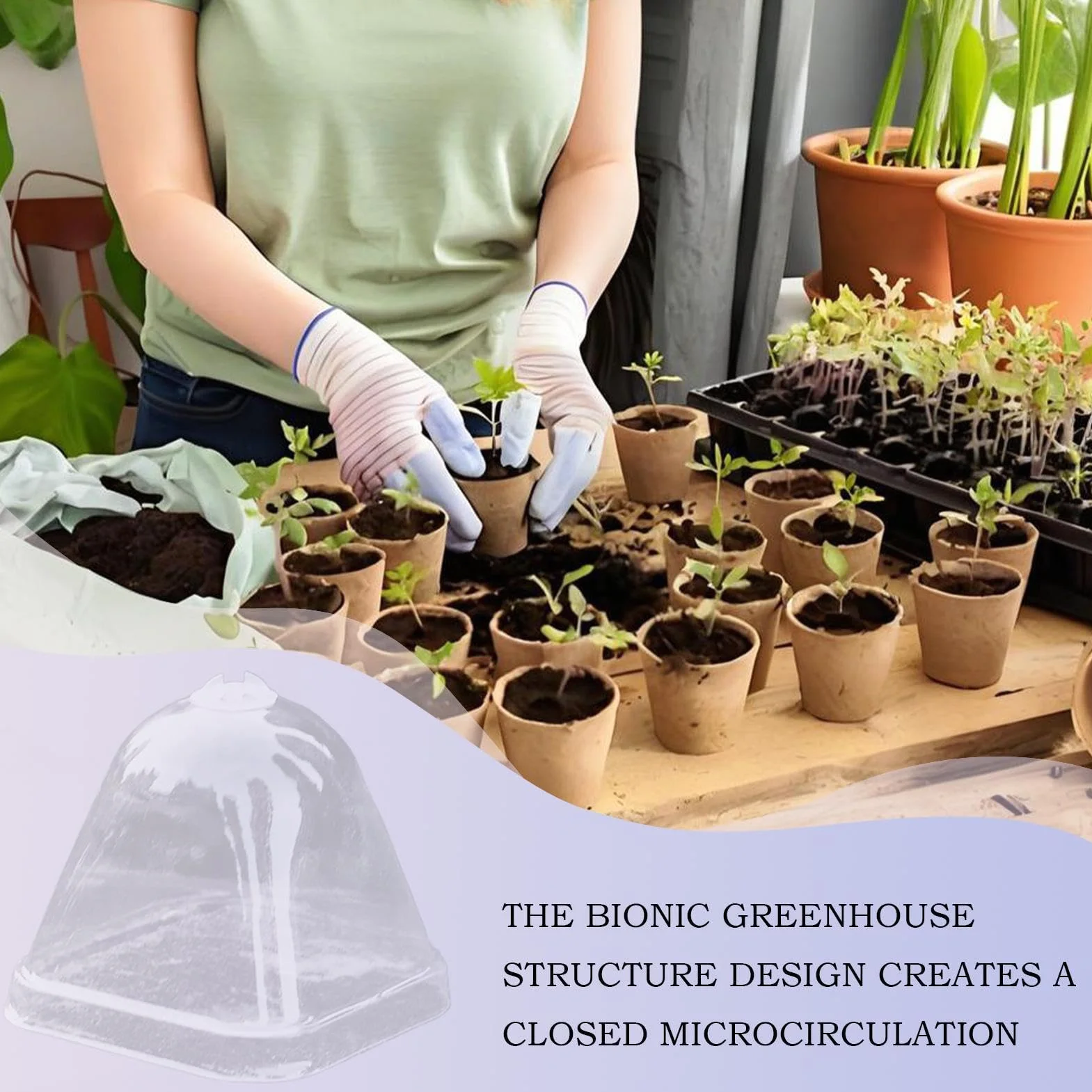 Cúpulas De Humedad para Plantas - Cubierta Protectora Transparente para Plantas - Tapa de Aislamiento Térmico 10X para Macetas de Vivero con Control de Humedad e Impermeable