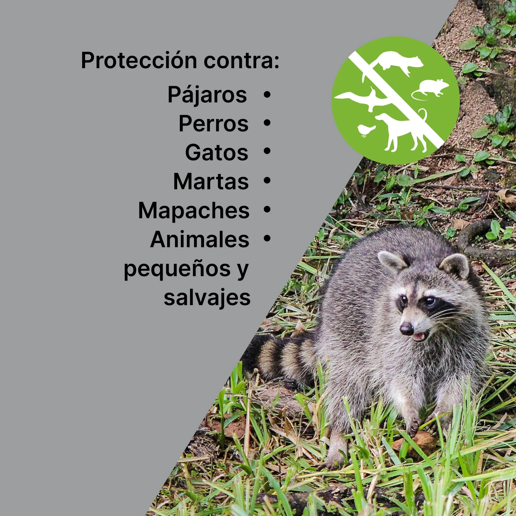 ISOTRONIC Repelente ultrasónico para Animales Salvajes, Aves, Perros, Gatos y martas. Dispositivo Repelente a Pilas con estaca para jardín. Alcance Efectivo de 60 m² (3 Unidades).