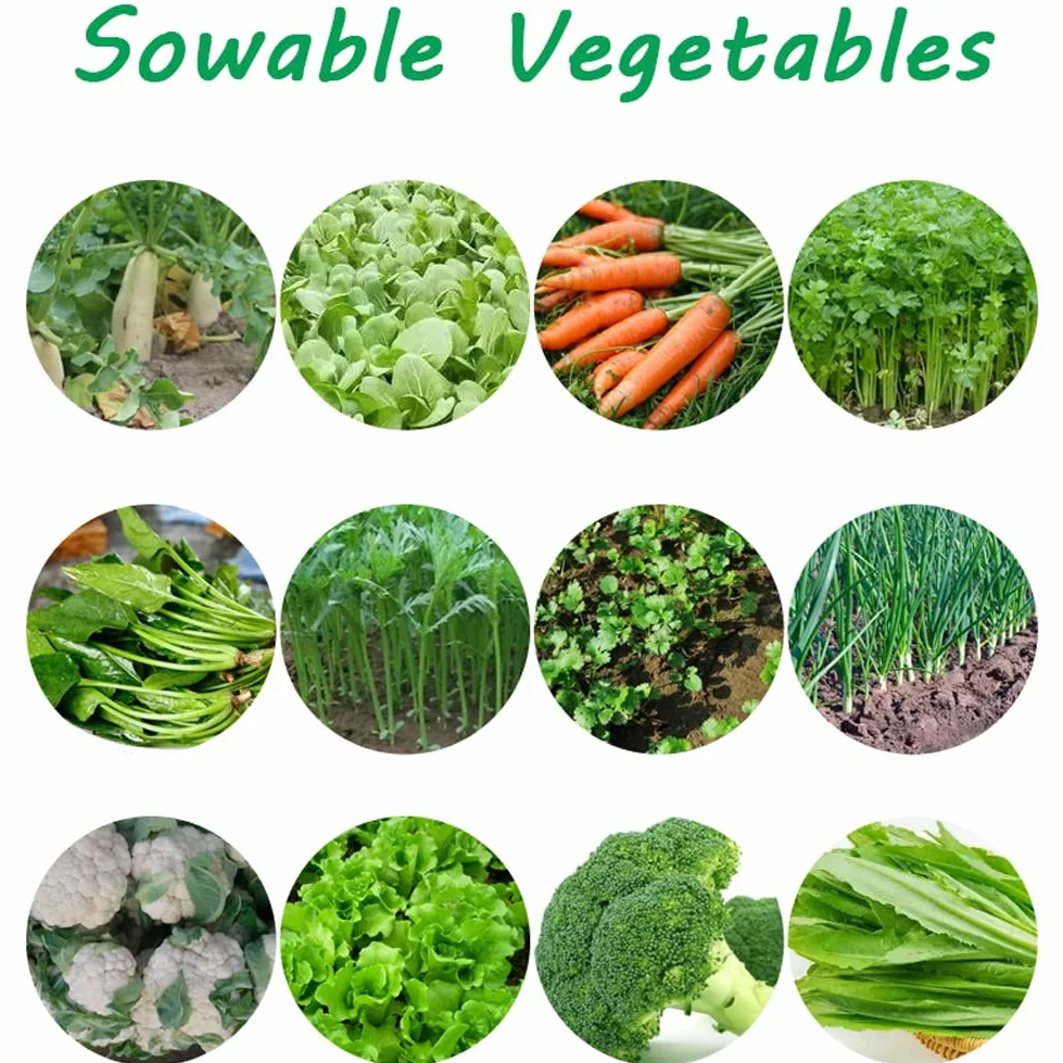 Sembradora de jardín, sembradora de jardín de precisión de Metal, sembradora de 5 hileras simultáneas, cultivador de jardín y rotavator, sembradora de Cultivos en hileras, esparcidor Manual de césped