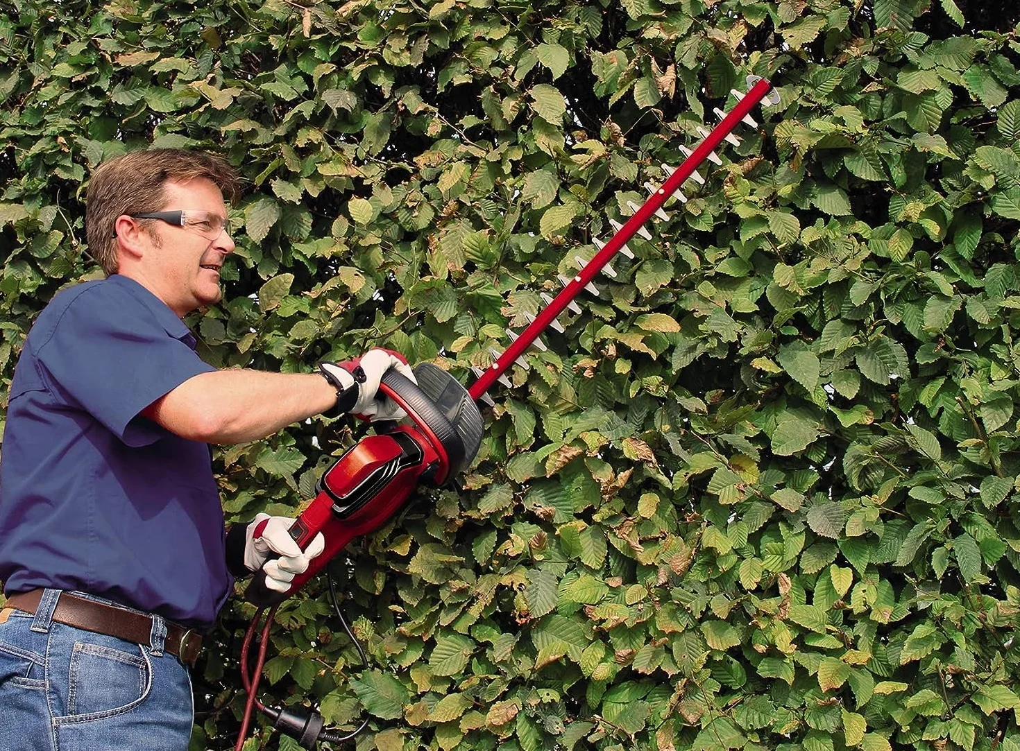 Einhell Recortasetos eléctrico con Cable - GE-Eh 6560 (240 V, 650 W, 50 Hz, Longitud de Corte: 600 mm, Longitud de la Hoja: 660 mm, Espacio Entre Dientes: 30 mm)