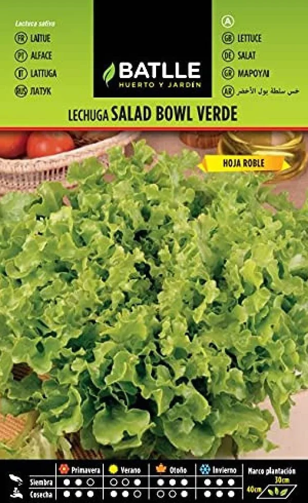 Semillas Batlle Lechuga Salad Bowl Verde