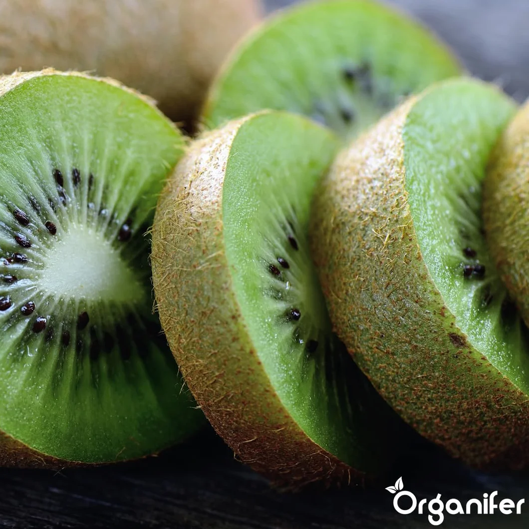 Fertilizante Líquido Orgánico 2x1L Para Kiwi – Favorece Hojas Lujosas Y Frutas Saludables – Organifer