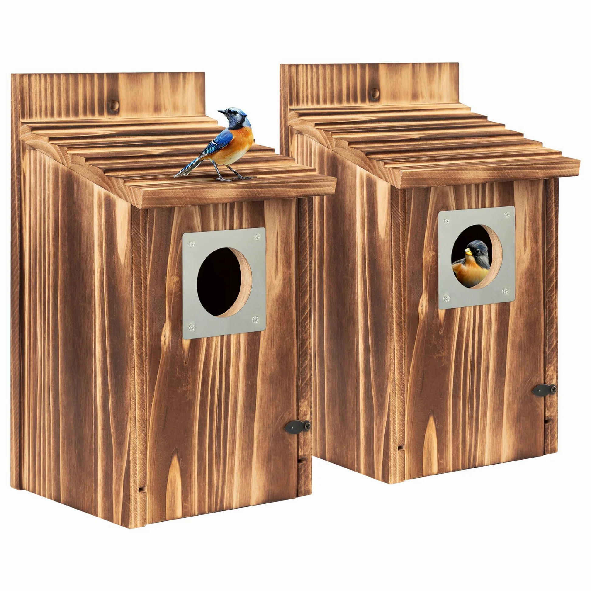 Paquete de 2 casas para pájaros para exteriores con protector de depredador de metal para pinzón de golondrina de pájaro azul, cajas de anidación de madera carbonizada para exteriores, casa de pájaros