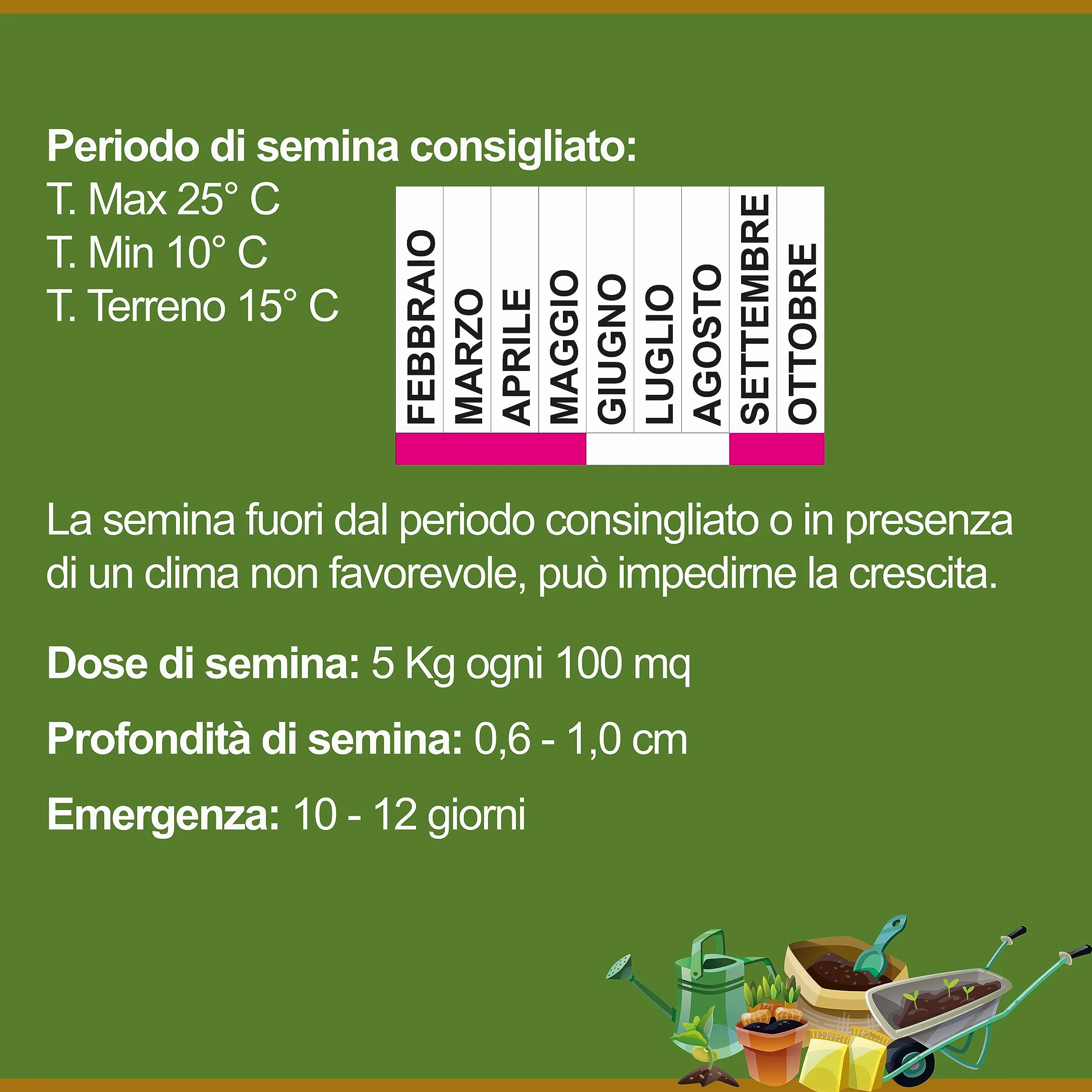 Festuca Arundinacea Il Contadino Semillas Césped 5 kg Resistencia Sequía Pisado Sombreado