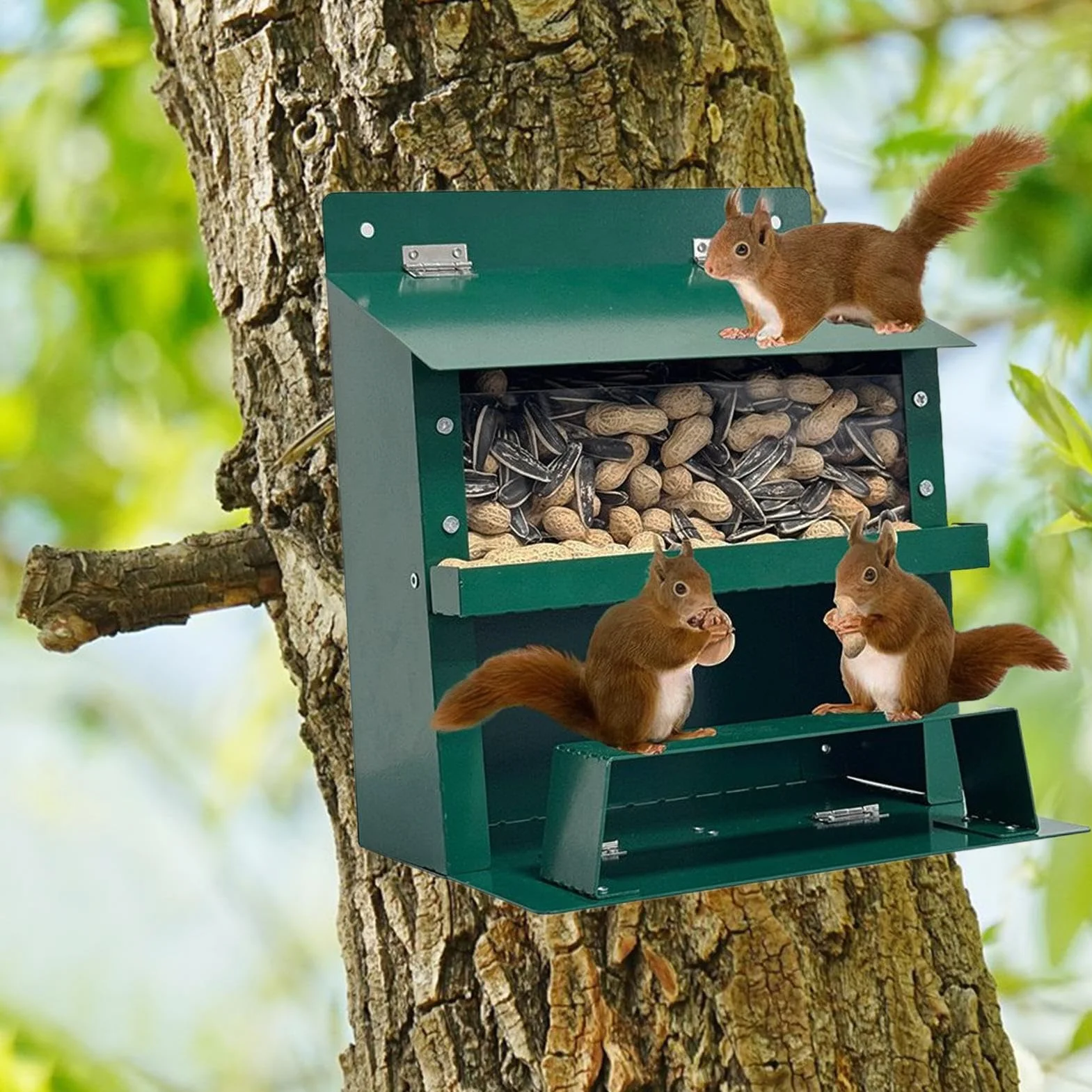 Casita para Ardillas | Casa para Ardillas A Prueba de Invierno,Suministro De Comida Invierno Observación Naturaleza Alimentación Fauna Decoración Jardín Aves Parques Amantes Animales