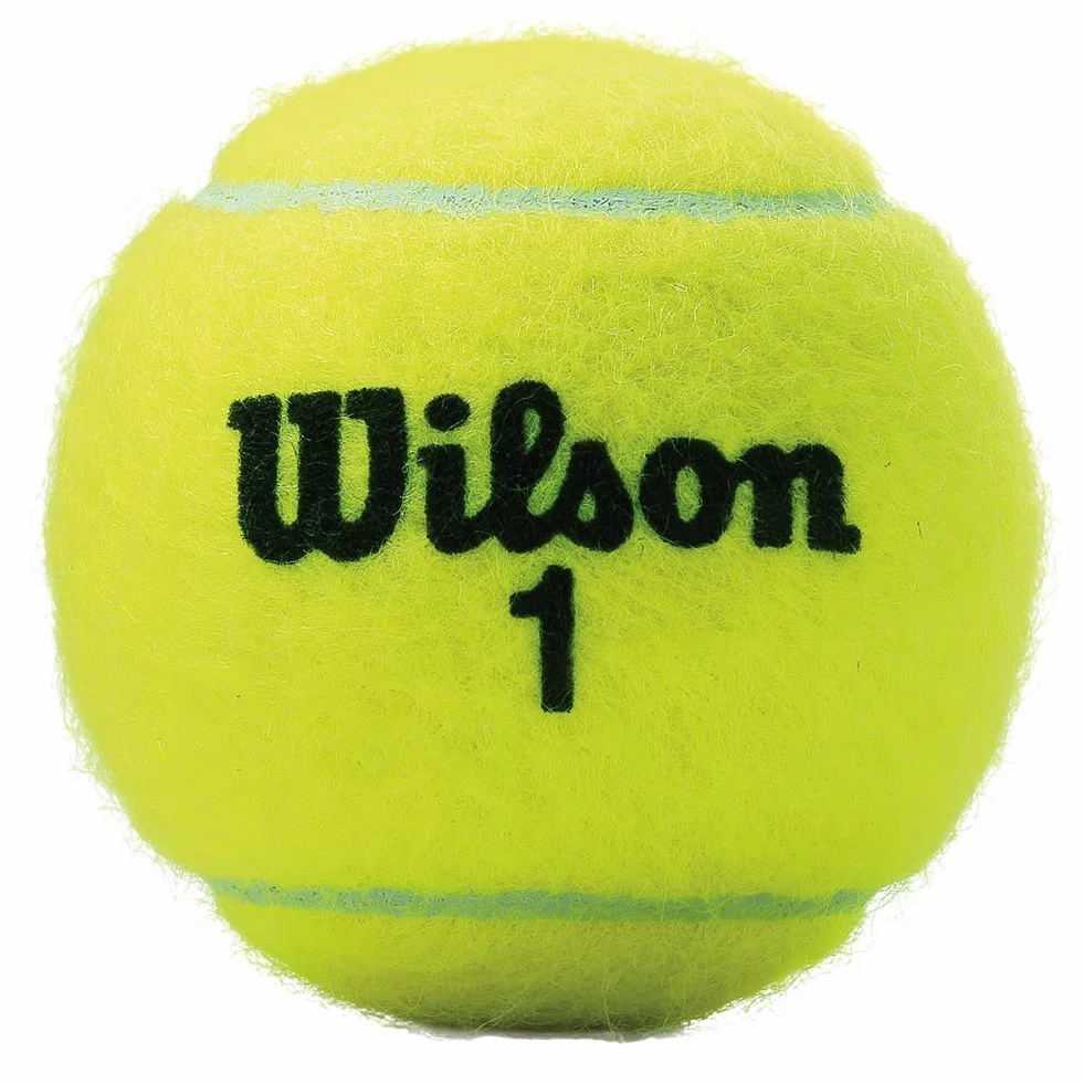 Wilson Championship Pelotas de Tenis 72