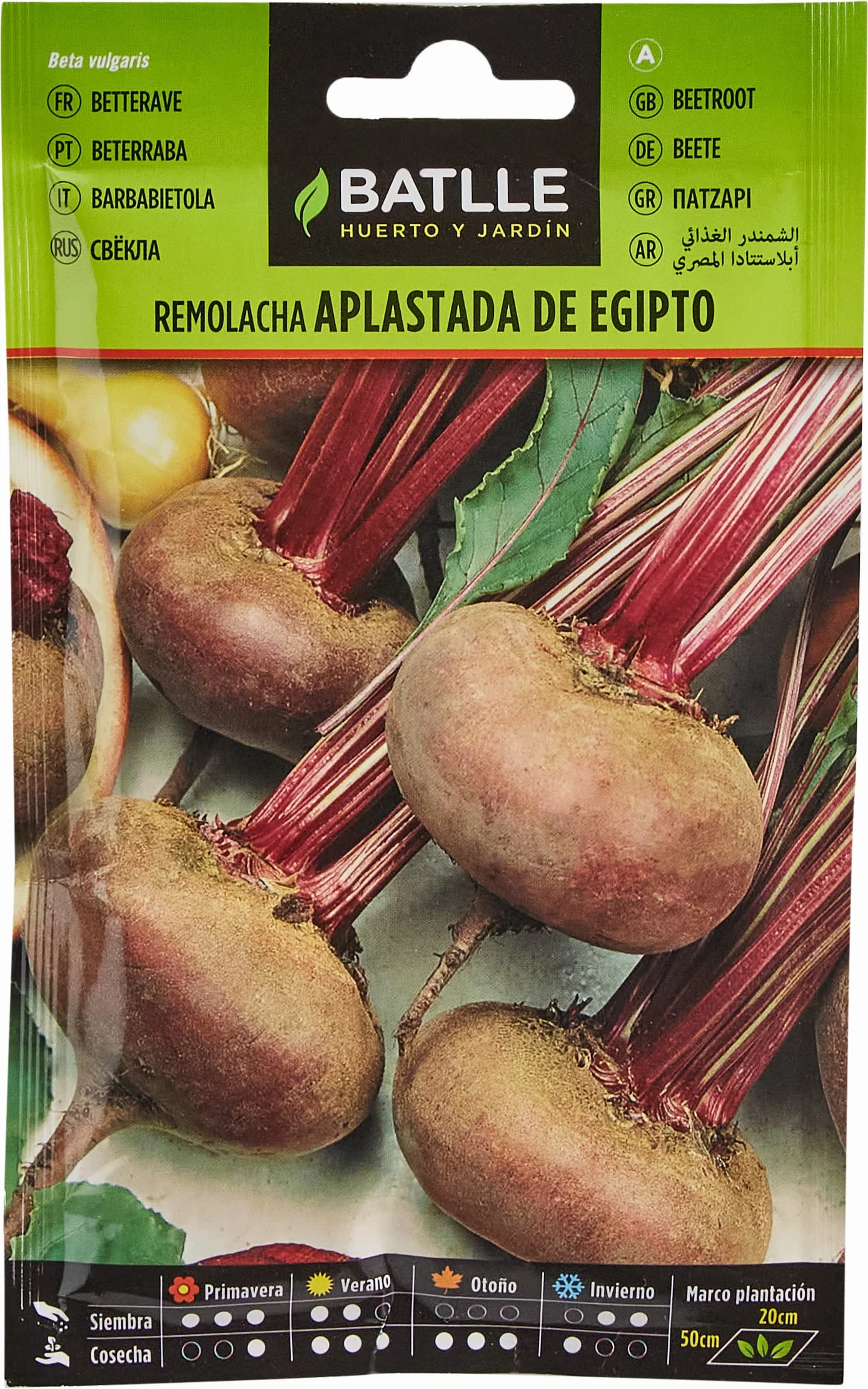 Semillas Batlle Remolacha mesa Aplastada Egipto