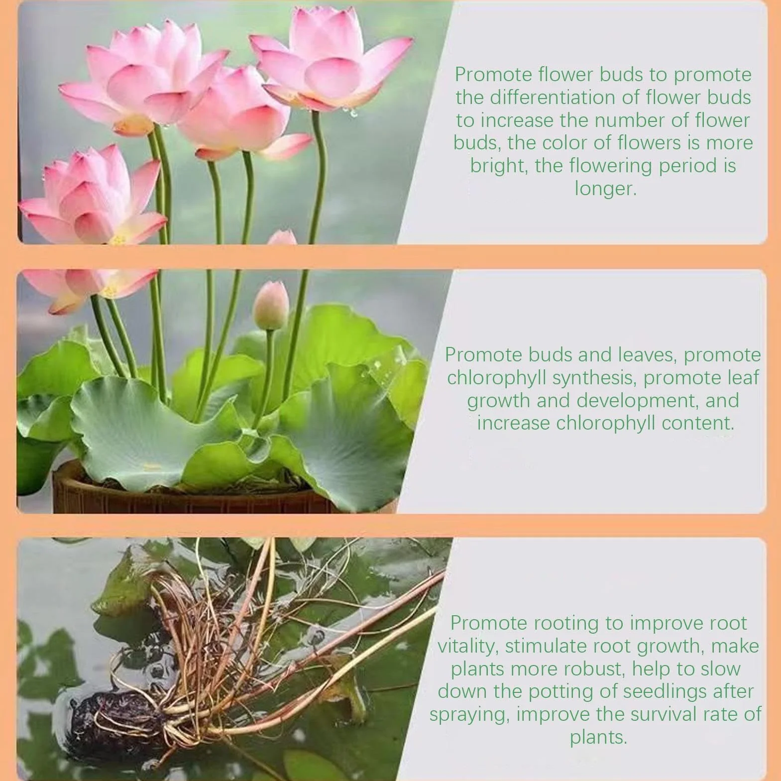 Alimento para plantas acuáticas, fertilizante para plantas - Fertilizante para nutrir flores de lirio de agua,Potenciador eficaz de la floración de las plantas, fertilizante nutritivo de flores