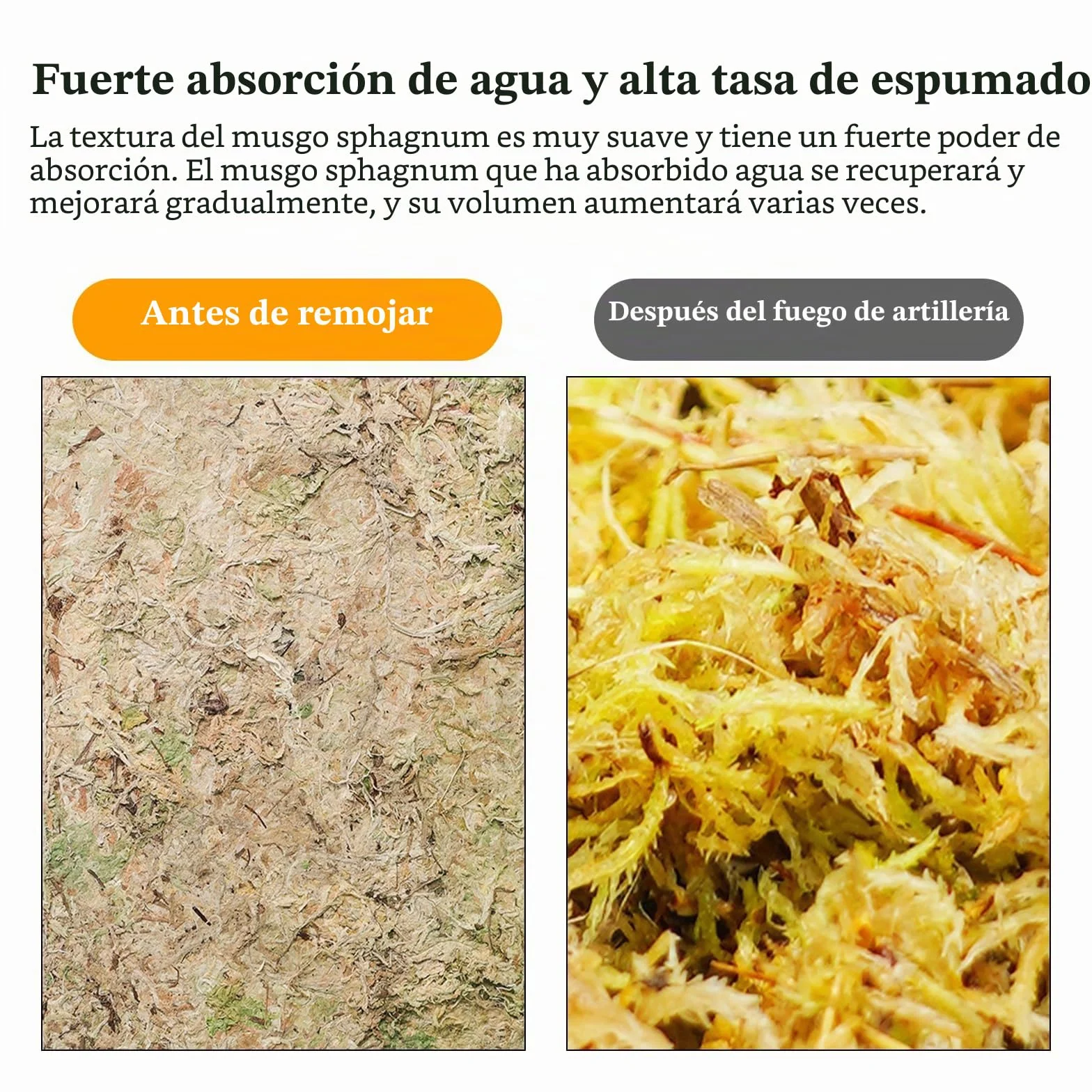 CATELL 190 g de musgo Sphagnum para plantas, terrario, tortuga y plantas de interior