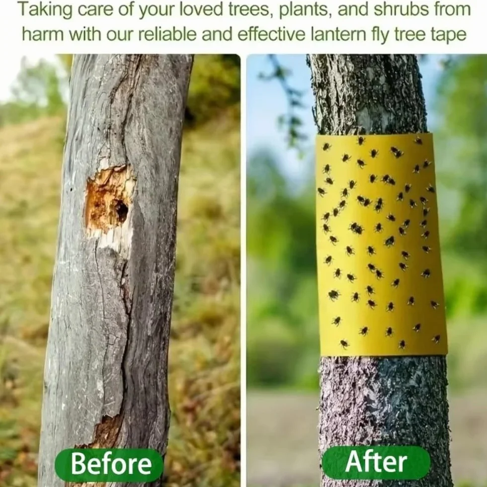 Trees - Cinta adhesiva de doble cara para árboles contra orugas, hormigas y polillas de invierno, trampa para insectos sin pesticidas para jardín (10 cm x 10 m, amarillo)