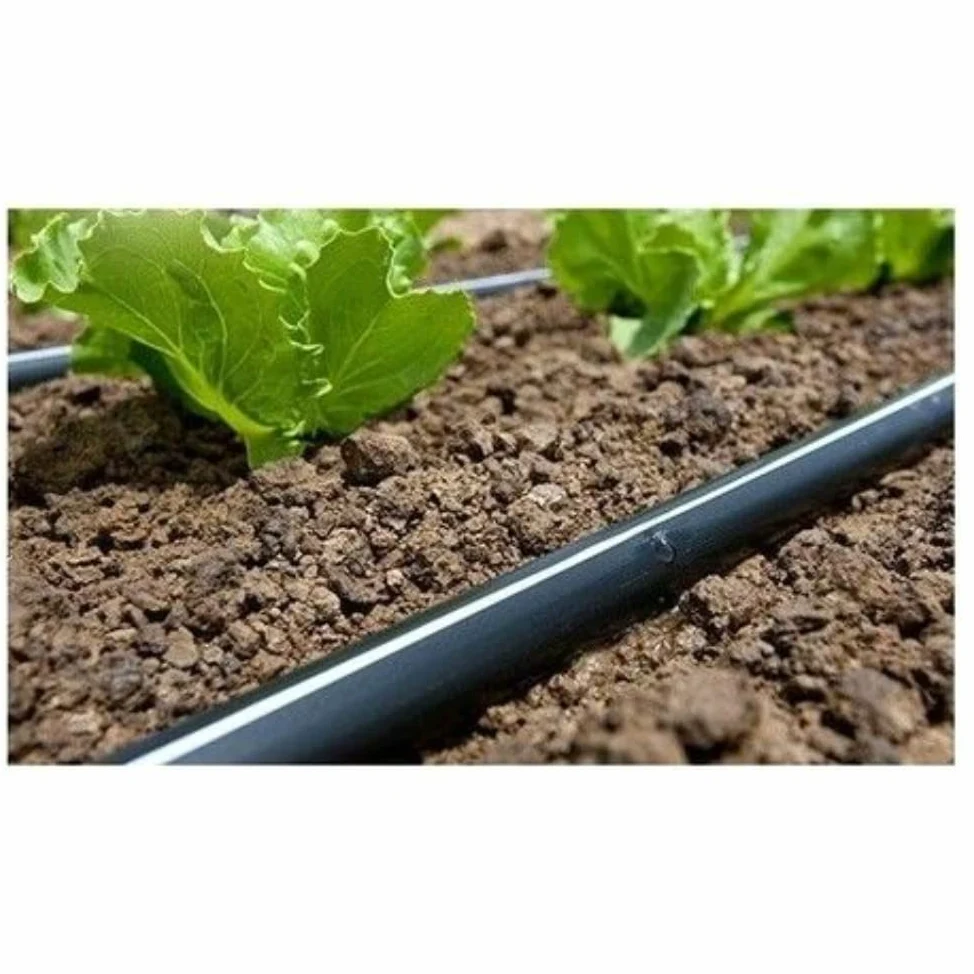 MUGAR- Manguera de riego por goteo. Tubo de goteo de polietileno de 500 metros y 12 milímetros sin goteros color negro, para agricultura y jardines particulares.