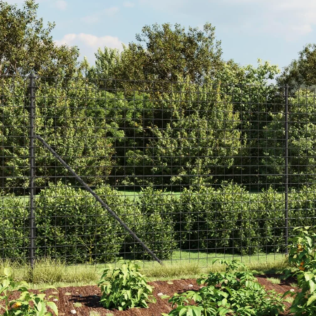 Valla de malla de alambre con anclajes de pico, color antracita, 2,2 x 10 m, valla de alambre de acero galvanizado, valla protectora para jardín, valla de malla antracita