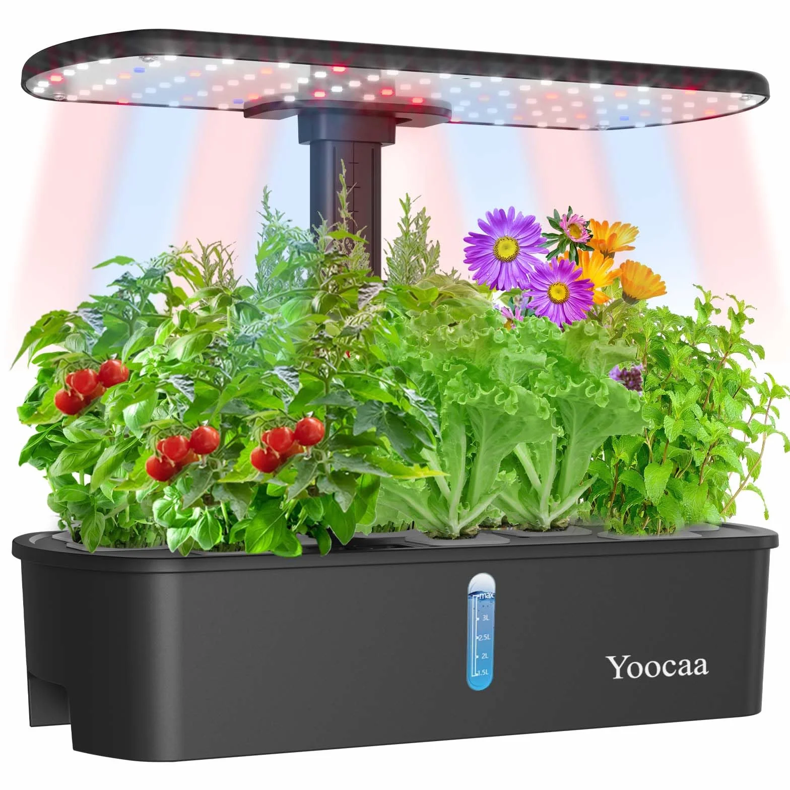 Sistema de Cultivo hidropónico de 12 cápsulas con luz LED de Crecimiento y Temporizador automático, Kit de jardín de Hierbas Ajustable para Interiores y Cocina (19.4 Pulgadas de Altura máxima)