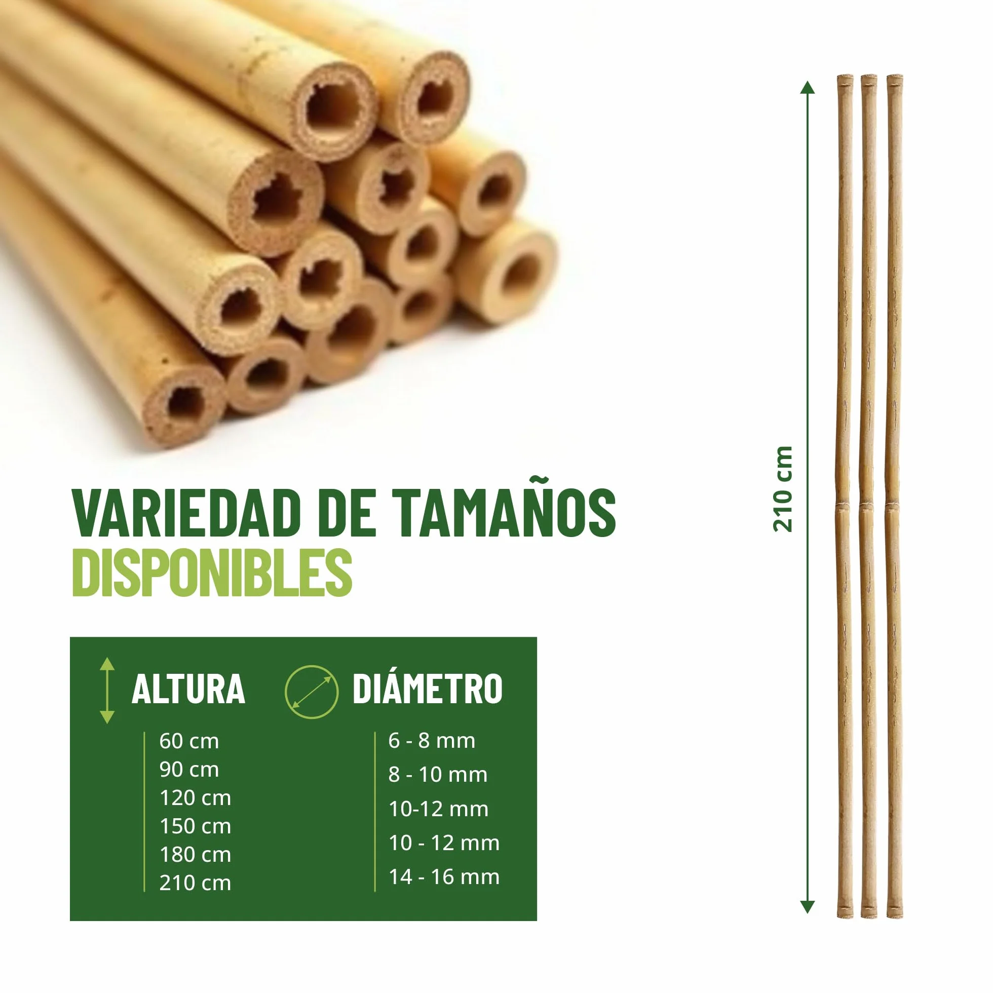Control Garden Pack 30 Unidades Tutor de Bambú Ecológico de 210 cm | Estaca Natural Caña Sujetar Plantas ø 14-16 | Varillas Árboles, Hortalizas, Enredaderas y Cultivos