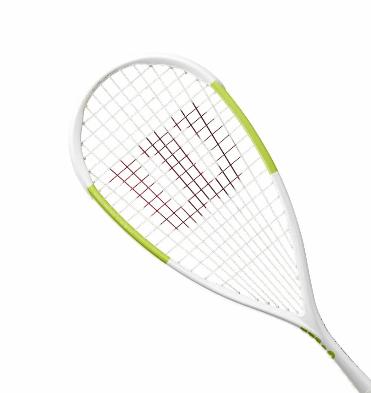 TEMPEST PRO