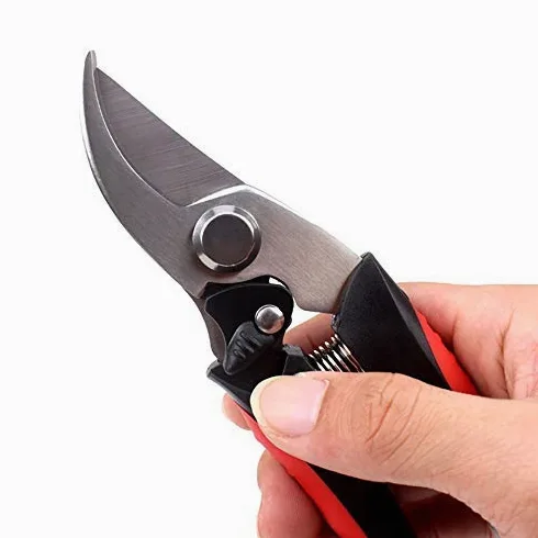 Tijeras de podar Profesionales, Tijeras de podar, Tijeras de trinquete para árboles, Cortador de injerto, podadora de jardín, Herramientas para bonsái, podadora Manual, Tijeras de podar (A 1