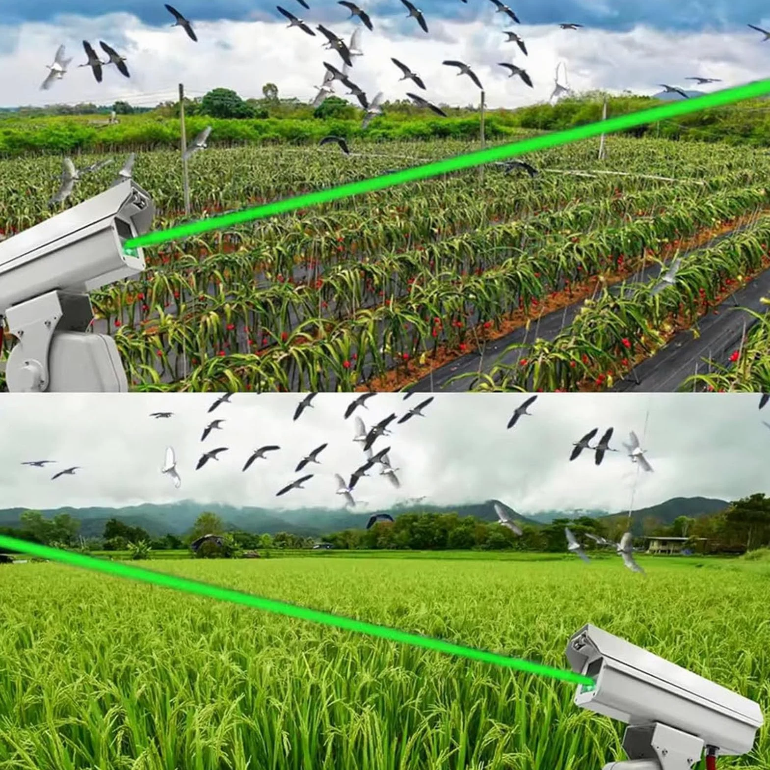 Espantapájaros Profesional La Ser,Dispositivo Automático Repelente de Aves con Rotación de 360°,Sistema Impermeable para Ahuyentar Palomas y Estorninos(Full Point(Asterisk))