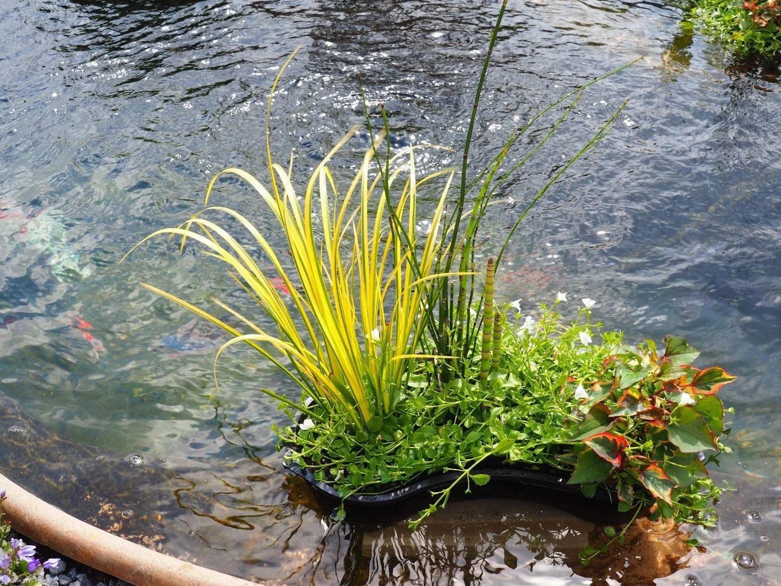 Sustrato para plantas acuáticas, saco de 15 l