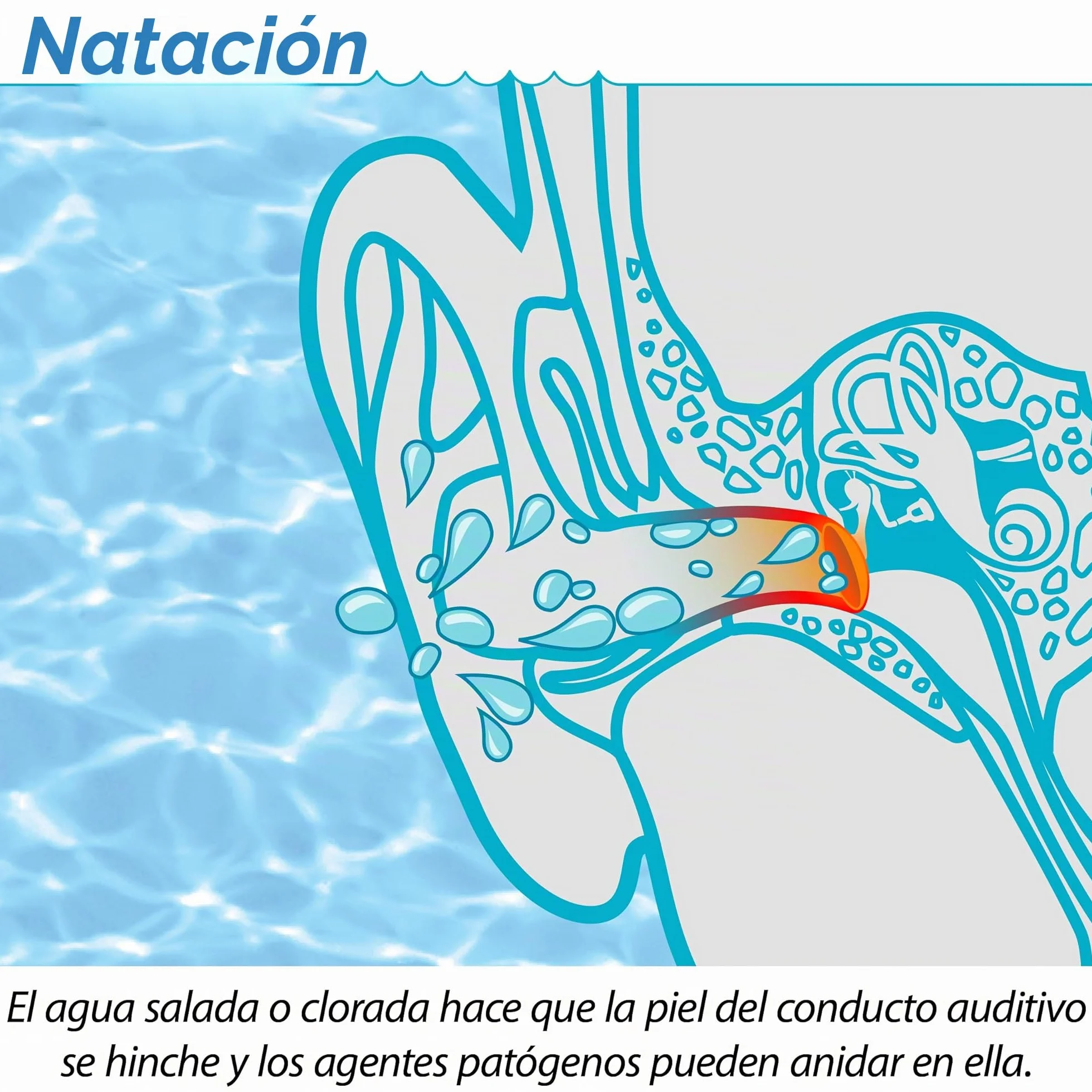 SANOHRA tapones para los oídos impermeables para nadar reutilizables 1 par adultos