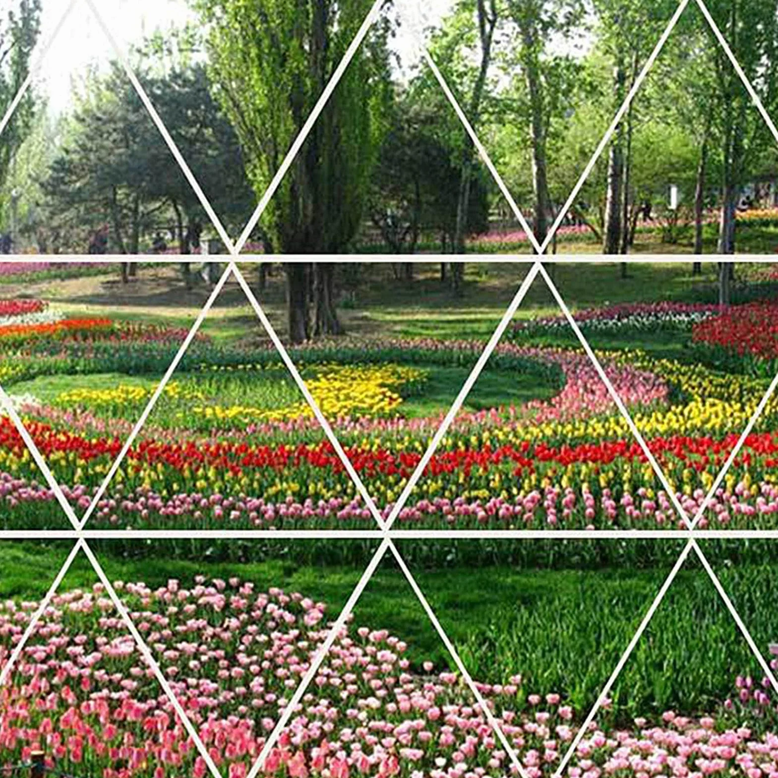 Tierra de estanque para plantas acuáticas, lodo de loto natural, lodo de estanque de loto, tierra para plantas de estanque, compost de agua, para lotos, suministros de jardín