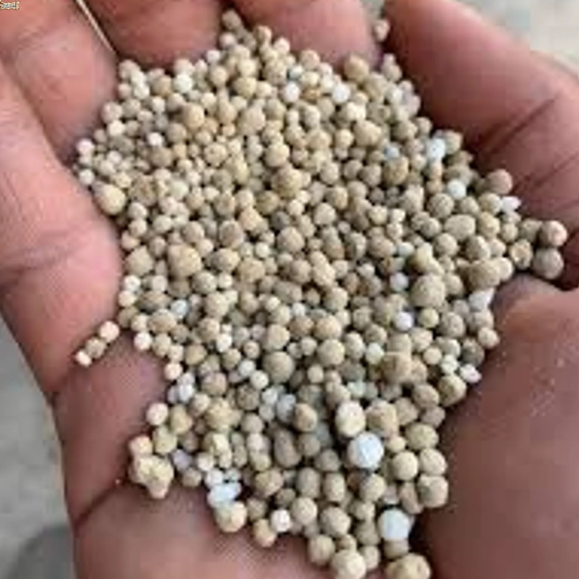 BricoLoco.com Abono complejo NPK 15-15-15. 1 Kg. Fertilizante triple 15 granulado. Para plantas de huerto y jardín, árboles, etc. 15% nitrógeno 15% fósforo 15% potasio (1, Kilogramos)