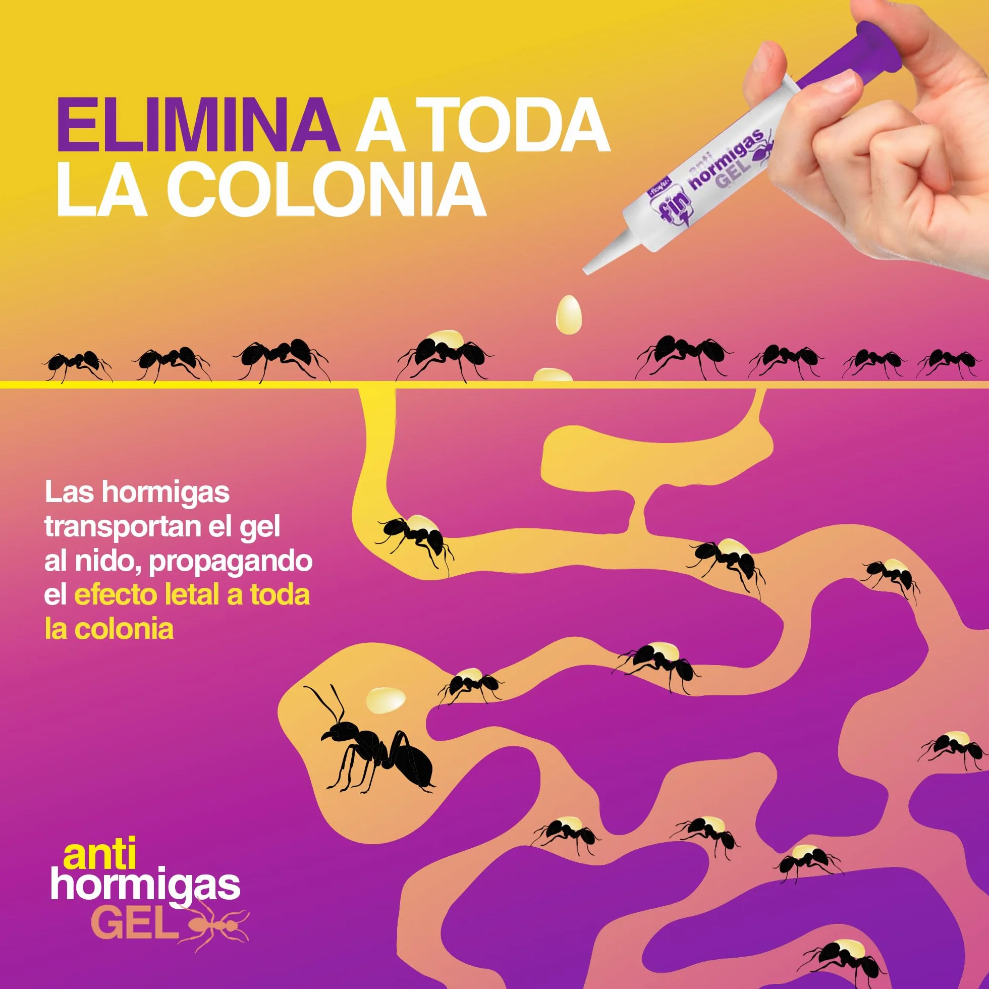 FLOWER x3 Insecticida Anti Hormigas Formato Jeringa 10 gr | Jeringuilla Antihormigas Eficaz Elimina a Toda La Colonia | Gel Atrayante y Duradero | Interior y Exterior | Aplicación Segura y Sencilla