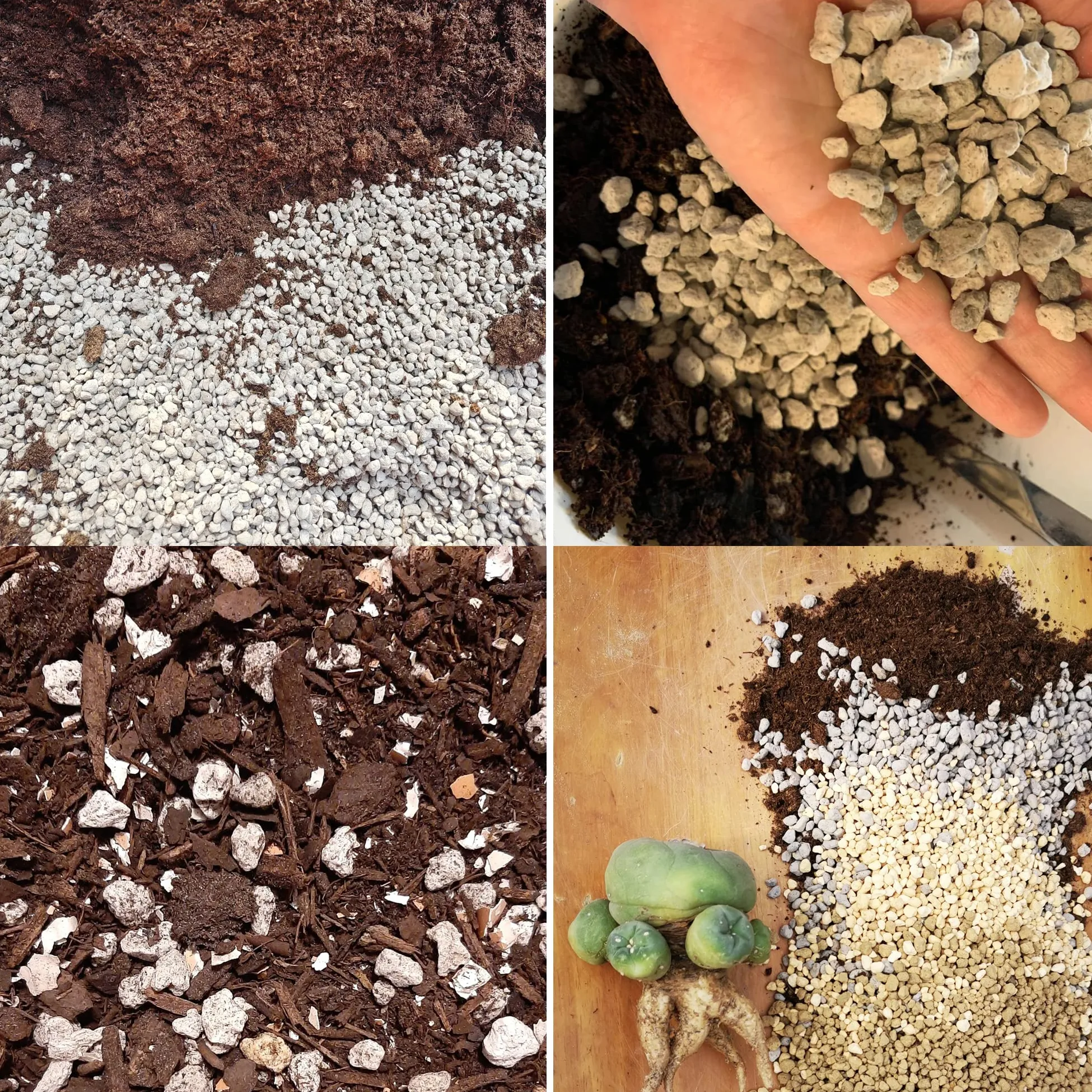 MDPQT- Piedra pómez hortícola para Plantas tamizada Profesional (12 Cuartos de galón, 1/2 Pulgada)