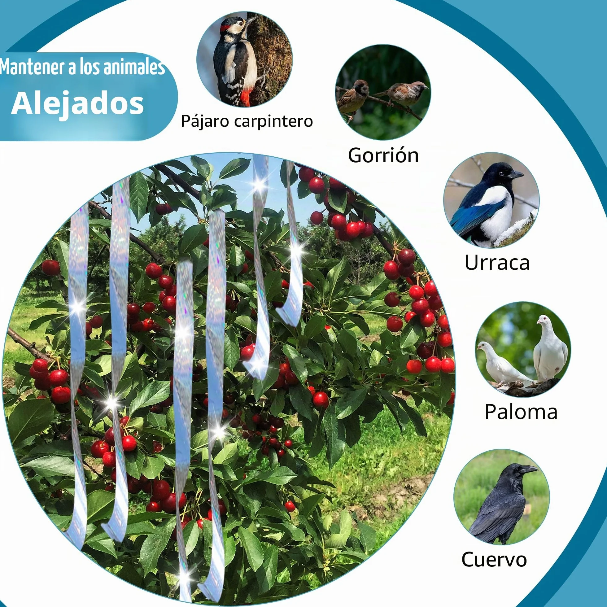 Cintas para Espantar Pájaros 80 m de Cinta Reflejante para Aves, Dispositivo para Asustar Pájaros Cinta de Doble Cara para Asustar a los Pájaros para Casa, Jardín, Patio, Huerto, Exterior