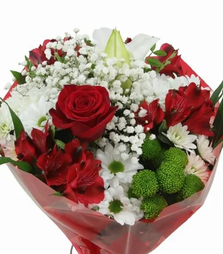 DECOALIVE Ramo Rojo Natural con Flores Faciles de Cuidar