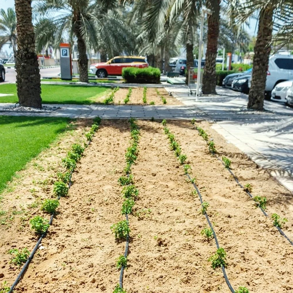 Manguera de riego por goteo para jardín, polietileno agrícola el 10-200m de la manguera del goteo 16m m for irrigación jardín(Spacing 15cm,100m)