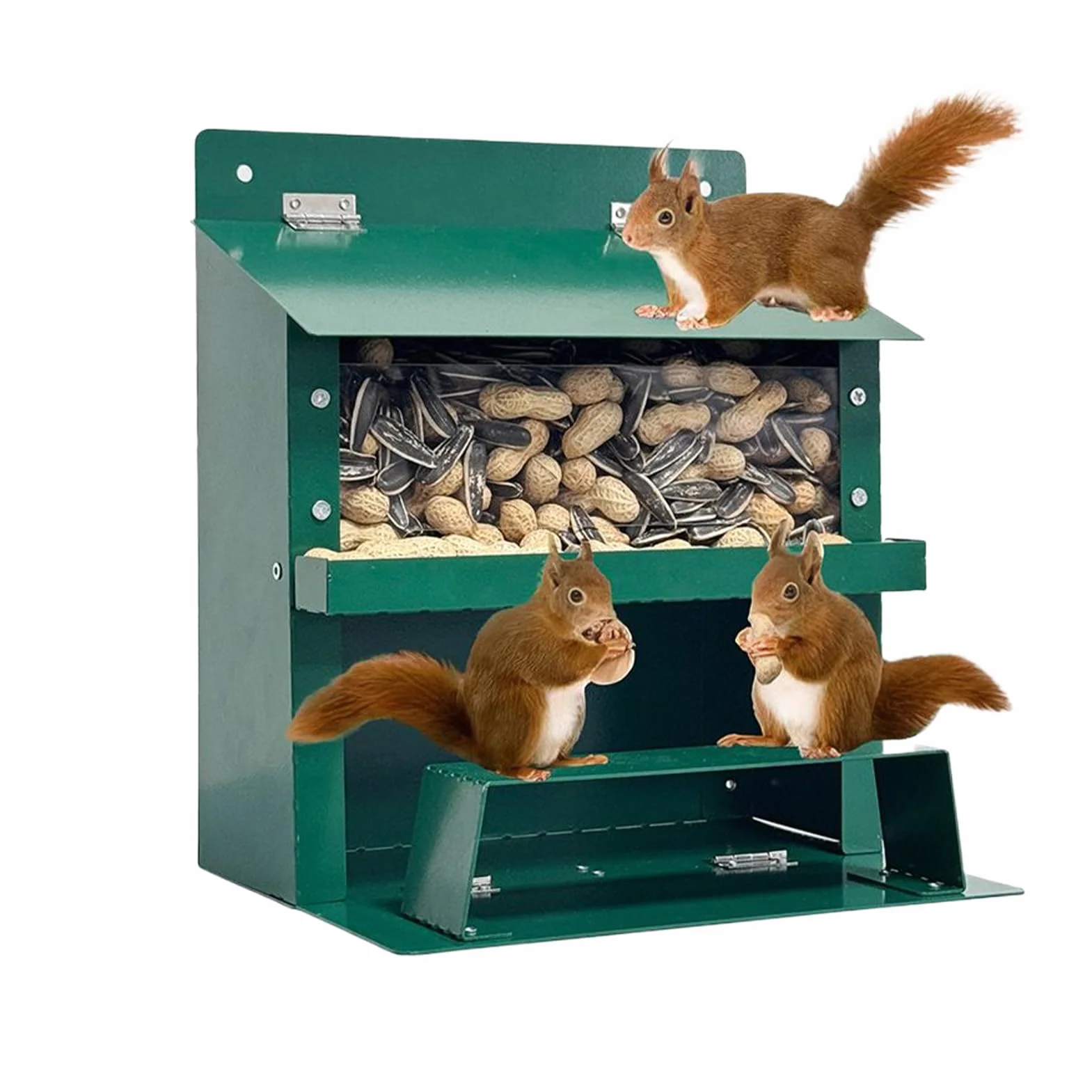 Casita para Ardillas | Casa para Ardillas A Prueba de Invierno,Suministro De Comida Invierno Observación Naturaleza Alimentación Fauna Decoración Jardín Aves Parques Amantes Animales