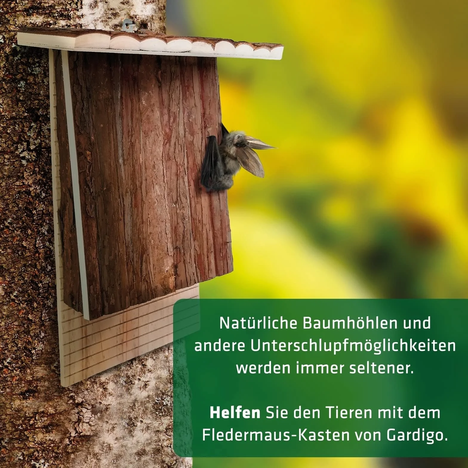 Gardigo Casa para Murciélagos; Refugio Colores de Madera Natura, Hotel Casitas Nido para Murciélago