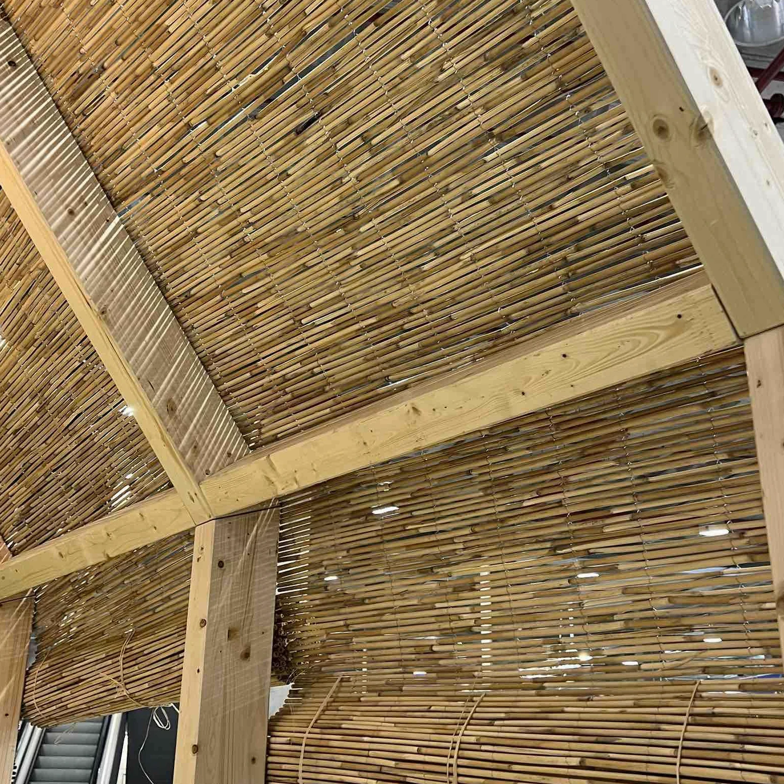 Valla Natural – Cañizo Nacional,Caña Entera y Natural, Ideal para Ocultación y Decoración de Espacios. Rollo Protector Visual para Balcón, Jardín y Patio.
